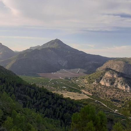 Les Moreres Gandía Dış mekan fotoğraf